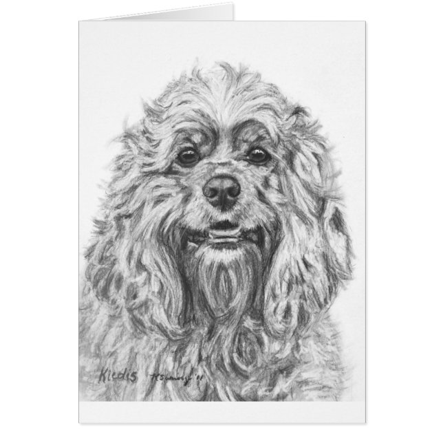 Cocker Spaniel Charcoal Drawing (Voorkant)