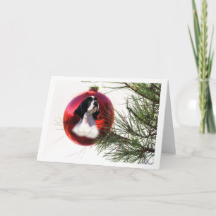 Cocker Spaniel Christmas Kaart Ball