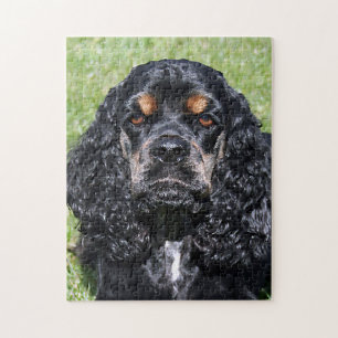 Cocker Spaniel Close-Up Legpuzzel