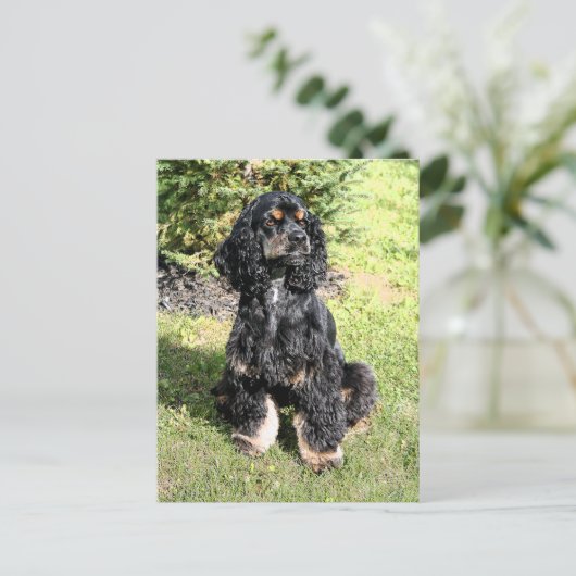 Cocker Spaniel Color Sketch Briefkaart (Staand voorkant)