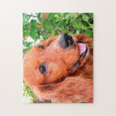 Cocker Spaniel Dog Legpuzzel (Verticaal)