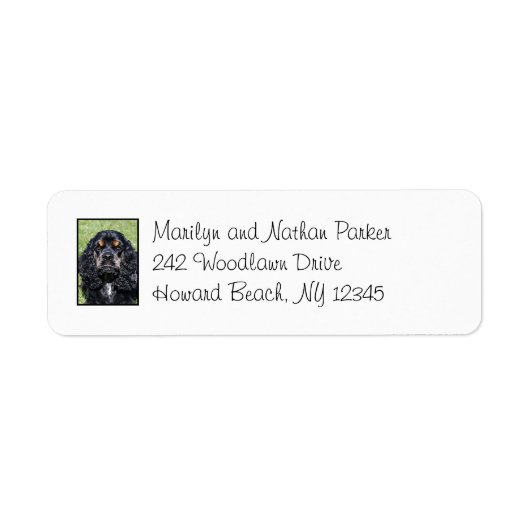 Cocker Spaniel Dog Return Address Label (Voorkant)