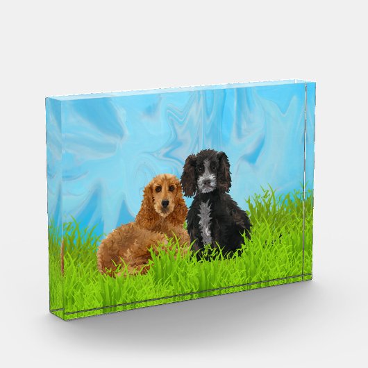 Cocker Spaniel Duo Fotoblokken (Links)