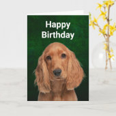 Cocker Spaniel Folded Wenskaart Kaart (Gele Bloem)