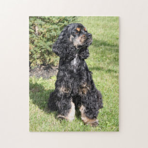 Cocker Spaniel Foto 3 Legpuzzel