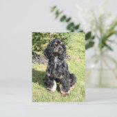 Cocker Spaniel Foto Briefkaart (Staand voorkant)
