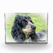 Cocker Spaniel. Fotoblokken (Voorkant)