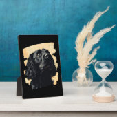 Cocker Spaniel  Fotoplaat (Zijkant)