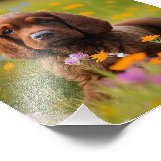Cocker Spaniel Fotoprint Foto Afdruk (Hoek)