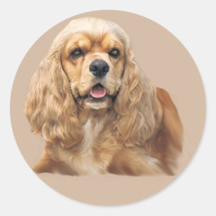 Cocker Spaniel Gewoon Schattig Sticker