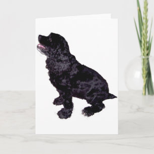Cocker Spaniel Kaart