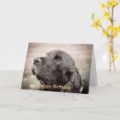 Cocker Spaniel Kaart (Gele Bloem)