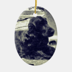 Cocker Spaniel Keramisch Ornament