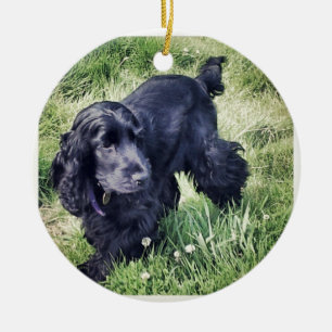 Cocker Spaniel Keramisch Ornament