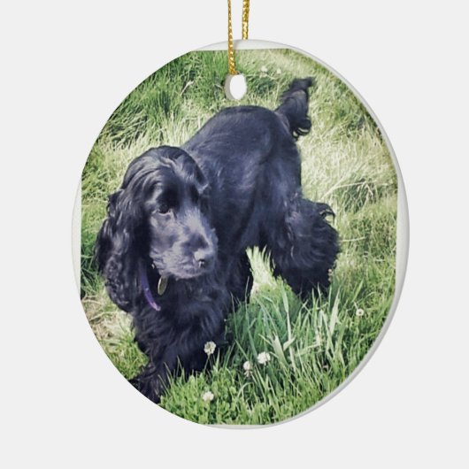 Cocker Spaniel Keramisch Ornament (Links)