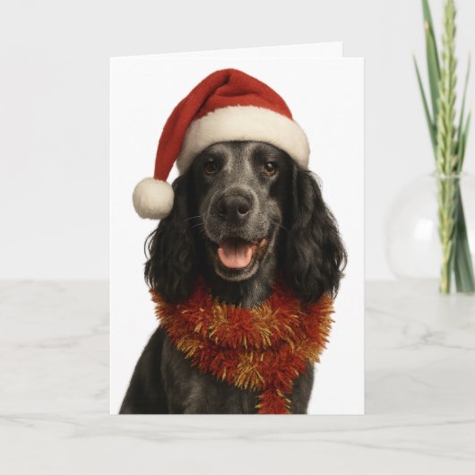 Cocker Spaniel Kerstkaart Kaart (Voorkant)
