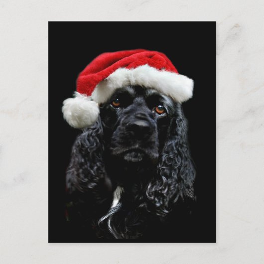 Cocker Spaniel Kerstmis Feestdagenkaart (Voorkant)