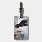 Cocker Spaniel Laat het sneeuwen Kerstmis Bagagelabel (Voorkant verticaal)