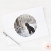 Cocker Spaniel Laat het sneeuwen Kerstmis Ronde Sticker (Envelop)