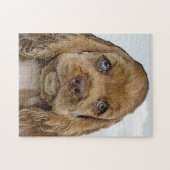 Cocker spaniel legpuzzel (Horizontaal)