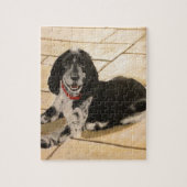 Cocker Spaniel Legpuzzel (Verticaal)