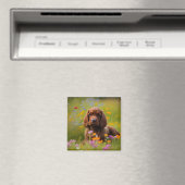 Cocker Spaniel Magneet (Insitu (Vaatwasser))