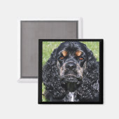 Cocker Spaniel Magnet Magneet (Voorkant / Achterkant)