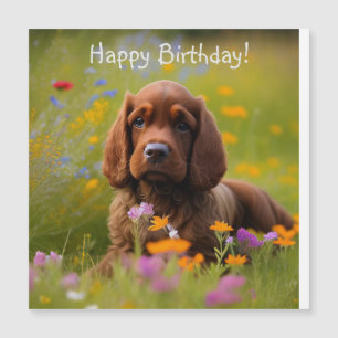 Cocker Spaniel Magnetische Kaart