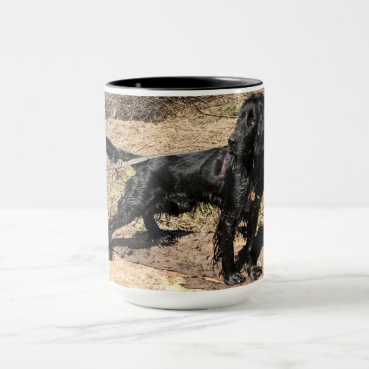 Cocker Spaniel Mok (Midden)