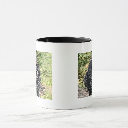 Cocker Spaniel Mok (Midden)