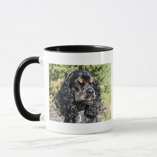 Cocker Spaniel Mok (Links)