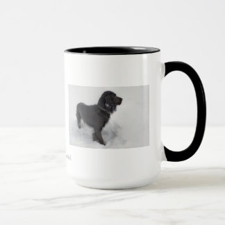 Cocker Spaniel-Mok Mok