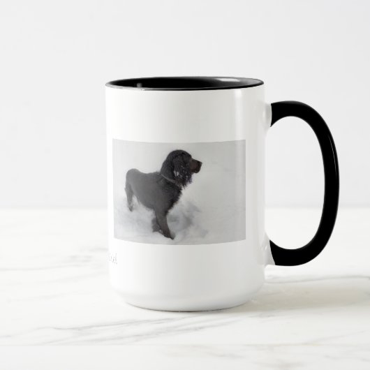 Cocker Spaniel-Mok Mok (Rechts)