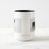 Cocker Spaniel-Mok Mok (Midden)