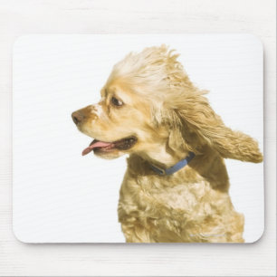 Cocker Spaniel Muismat