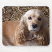 Cocker Spaniel Muismat (Voorkant)