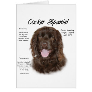 Cocker Spaniel (né) Histoire Design