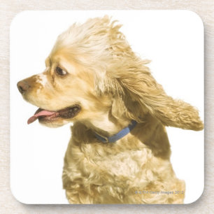Cocker Spaniel Onderzetter