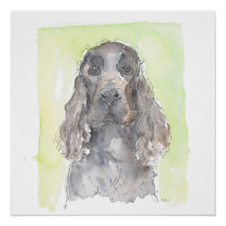 Cocker Spaniel Perfect Poster