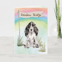 Cocker Spaniel Pet Sympathie Over Rainbow Bridge