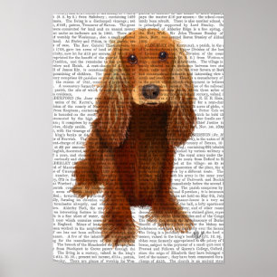 Cocker Spaniel Plain Poster