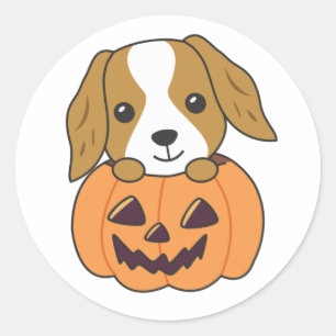 Cocker Spaniel Pompoen Leuke Honden Gelukkig Hallo Ronde Sticker
