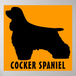 Cocker Spaniel Poster