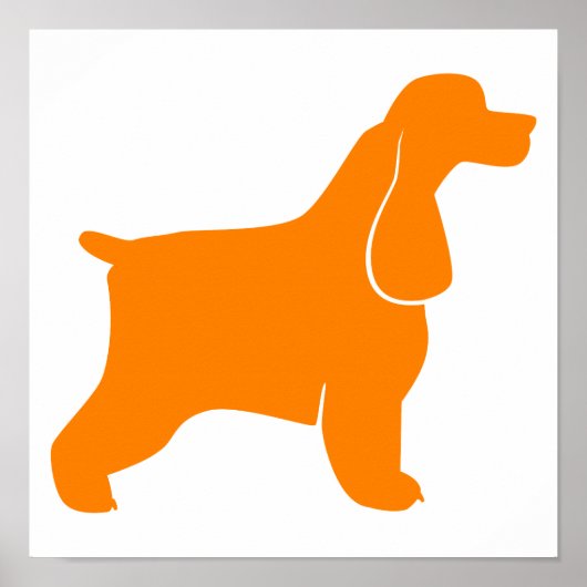 Cocker Spaniel Poster (Voorkant)