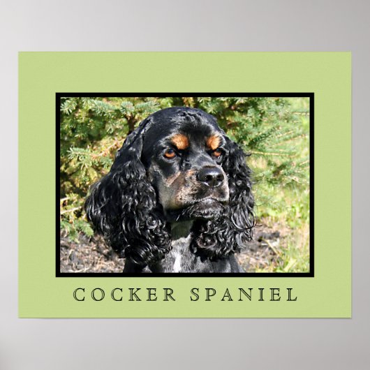 Cocker Spaniel Print (Voorkant)
