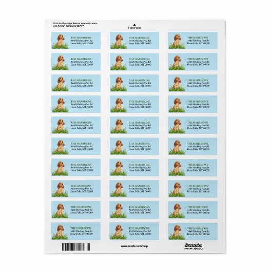 Cocker Spaniel Puppy Daffodil Garden Etiket (Full Sheet)