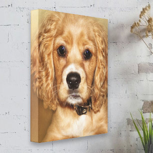 Cocker Spaniel Puppy Portrait Canvas Wrap Afdruk
