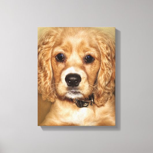 Cocker Spaniel Puppy Portrait toile (Recto)