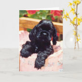 Cocker Spaniel puppy wenskaart Kaart (Gele Bloem)
