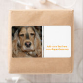 Cocker Spaniel Sushi Etiket (Insitu)